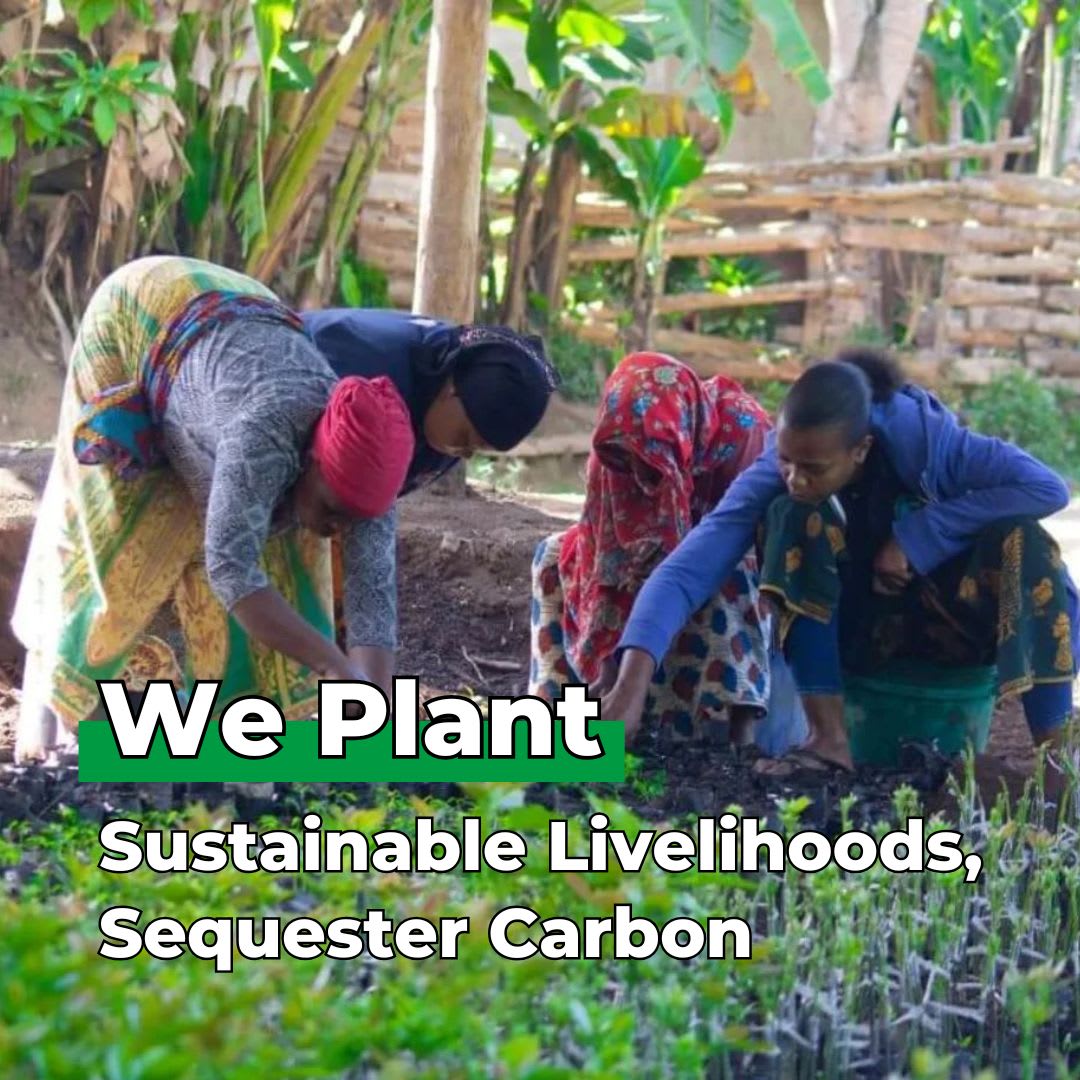 Earth with Heart – Tree Kit - We Plant 20 Trees